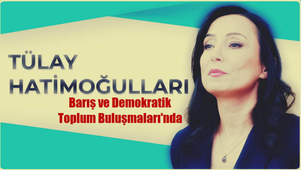 Hatimoğulları, Barış ve Demokratik Toplum Buluşması'nın da